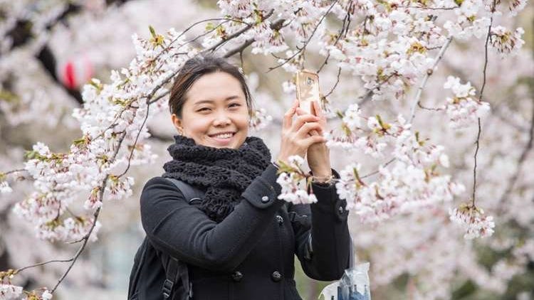 春天才有的美食＆美景！北海道人教你在「春天的北海道」一定要體驗的10件事