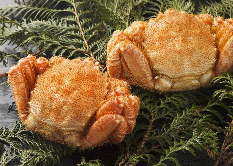 4:春天最美味!品尝极品「流冰结束后的毛蟹」