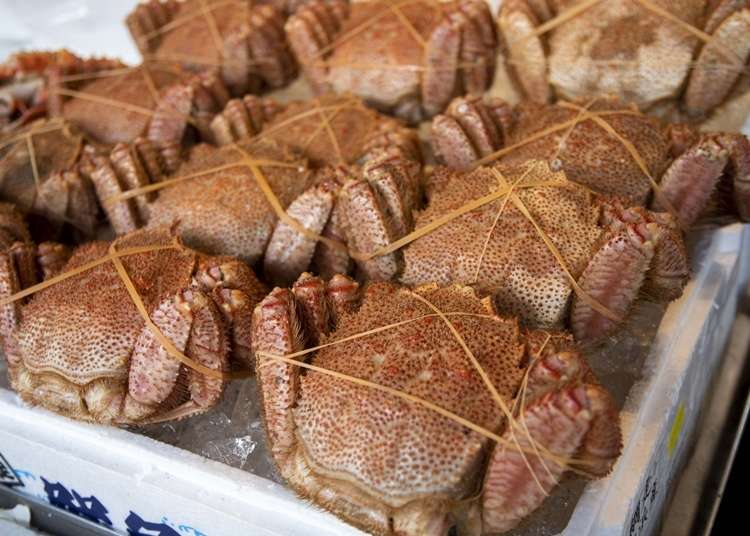 なぜ北海道民に 毛ガニ が人気なの タラバガニとの違いや毛ガニの美味しい食べ方も Live Japan 日本の旅行 観光 体験ガイド