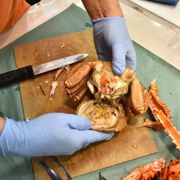 北海道人不吃帝王蟹愛吃毛蟹 濃郁蟹黃 肉質鮮美等人氣理由大公開 Live Japan 日本旅遊 文化體驗導覽