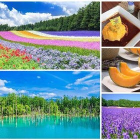 (From Sapporo) Furano Tomita Farm Flower Fields & Biei Blue Pond & Fairy Terrace - Optional Omurice Lunch or All-you-can-eat Melon Day Tour
Details & bookings ▶
(Image: Klook)
