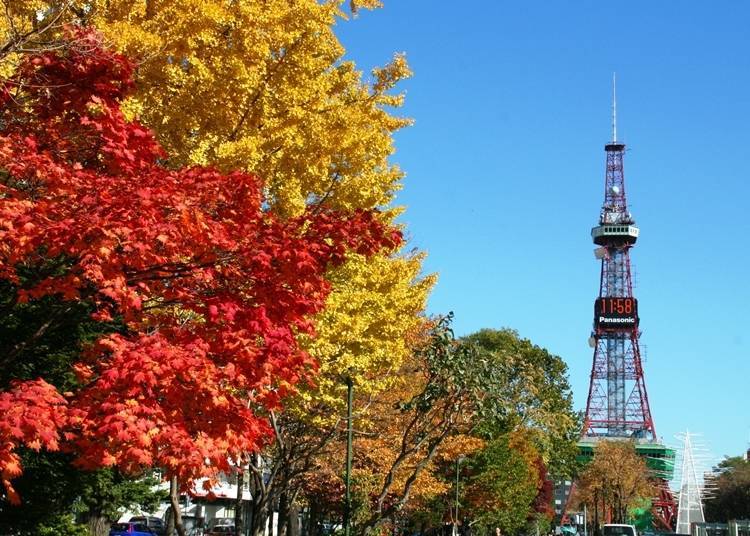 Exciting events are held in this central park all year round