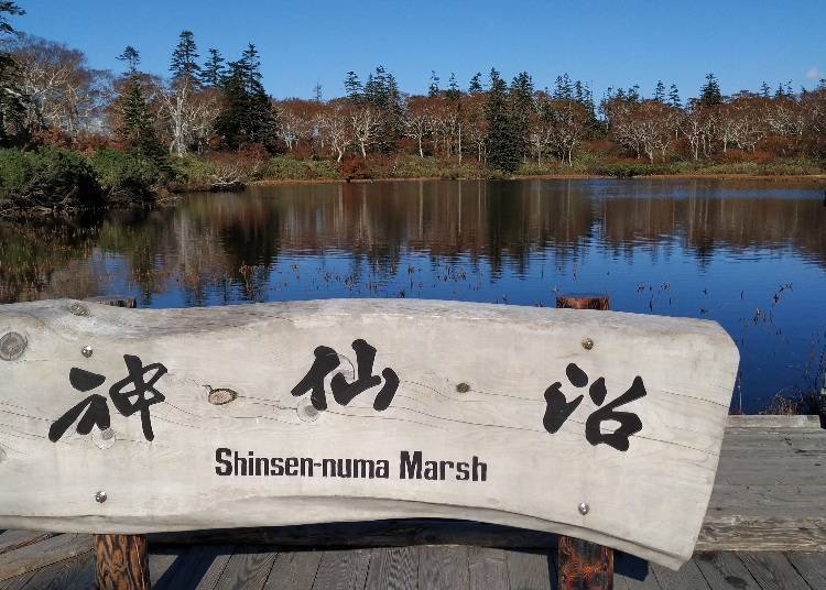 6) Shinsen-numa: A mystical marsh that reflects its surroundings