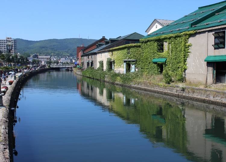 北海道方言和愛努族語其實是不同的語言