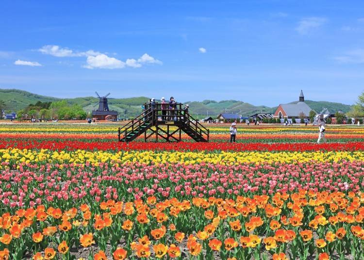 An imaginative landscape that takes you right out of Japan (Photo credit: Yubetsu Town Hall)