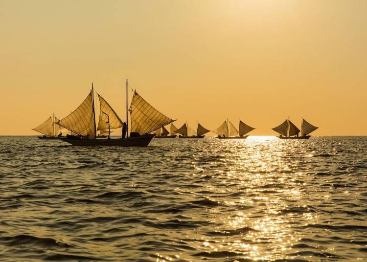 Picturesque view of traditional sailboats out fishing (Photo credit: Betsukai Tourism Association)