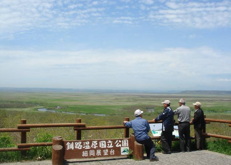 初夏是綠意突然竄升的季節  照片提供：釧路觀光Convention協會