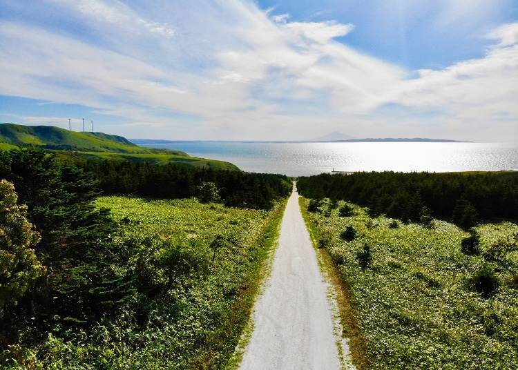 まっすぐ続く白い道の正体は!? 夏の北海道でしか見られない感動の絶景7選