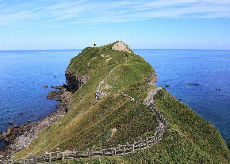 岬の先端へ続く遊歩道　画像素材：PIXTA