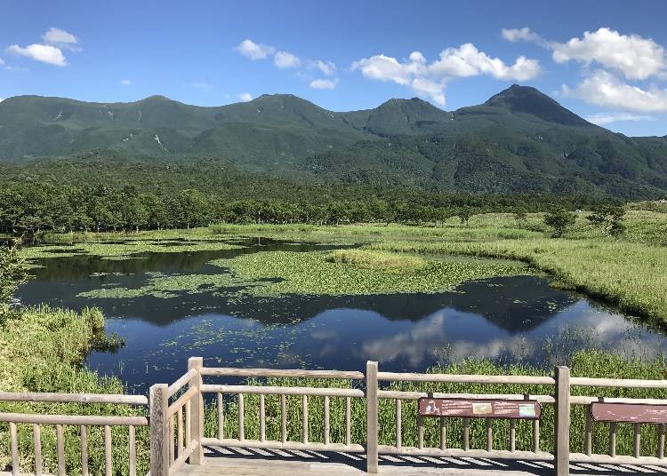 知床五湖（照片提供：知床斜里町觀光協會）