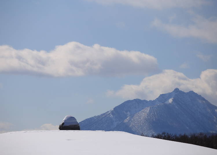 雪の帽子をかぶった頭大仏　提供:真駒内滝野霊園