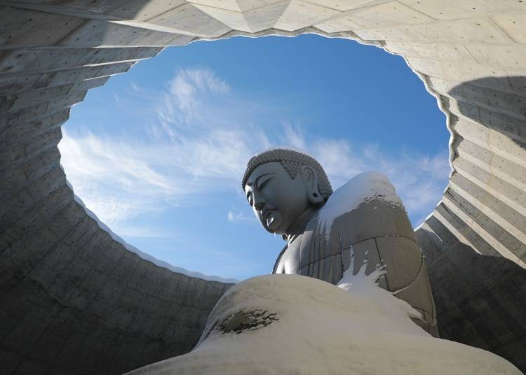 蓋著「雪毯」的頭大佛　照片提供：真駒內瀧野靈園