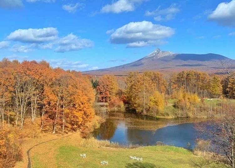 駒ヶ岳の美しさに目を見張る