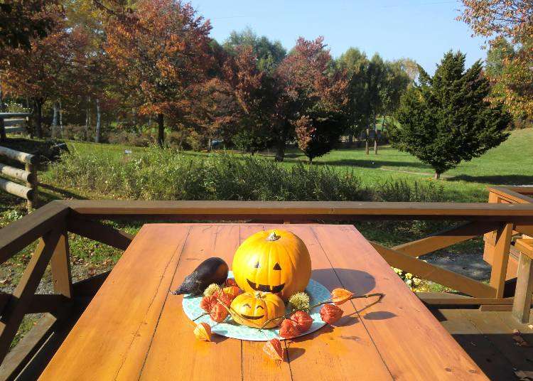 3 Sapporo Restaurants With Scenic Views of Dreamy Autumn Foliage