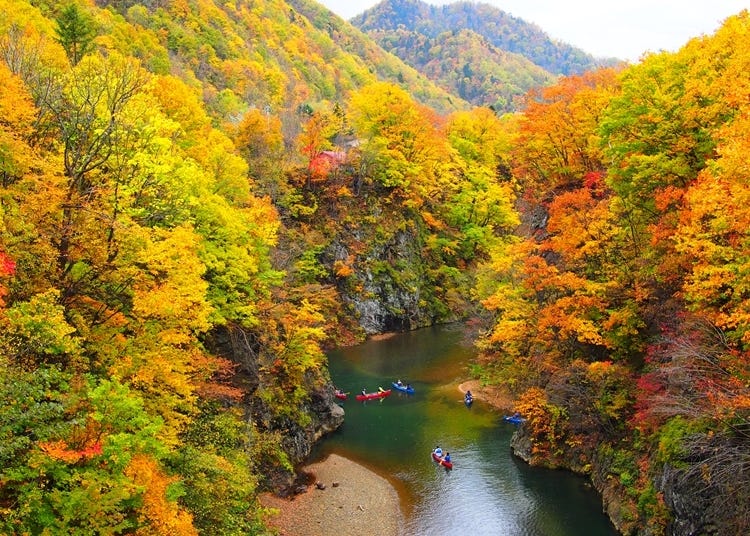 홋카이도 단풍 여행 - 홋카이도의 가을을 느낄 수 있는 단풍명소 4곳 - Live Japan ( 일본여행·추천명소·지역정보 )