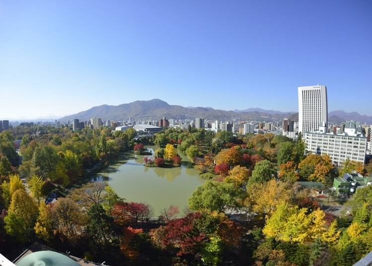 在都市中宽广的红叶景点