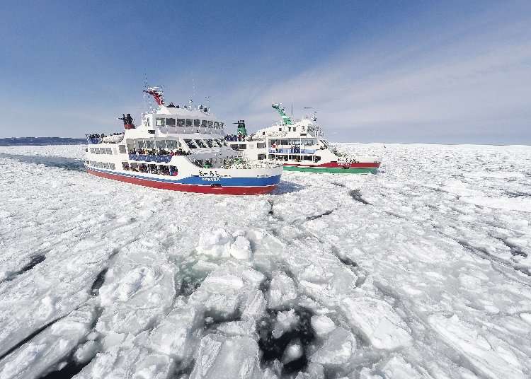 눈과 유빙이 대표적인 겨울 홋카이도 동부 여행 4박 5일 여행 코스(홋카이도 동부)