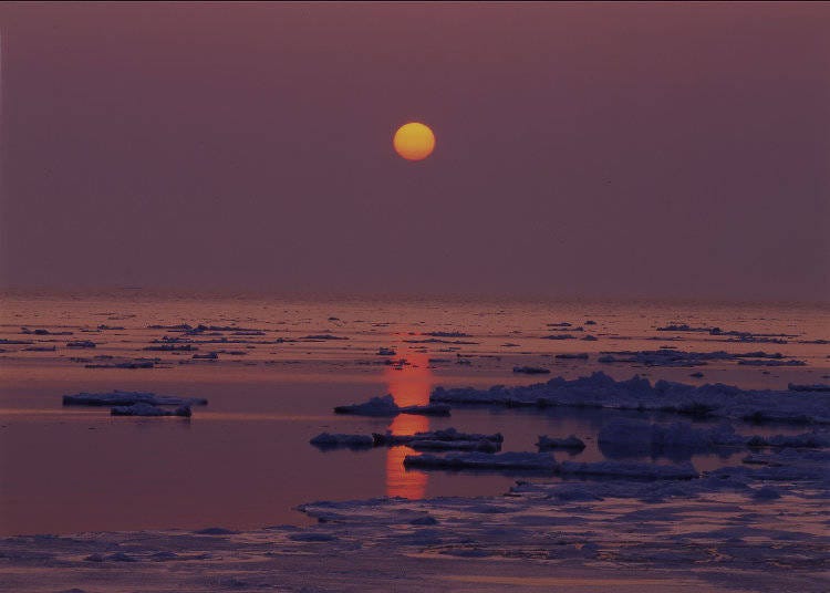 流氷が真っ赤に染まる幻想的な世界