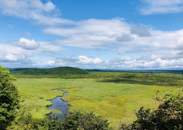 10個北海道釧路必玩景點:釧路濕原、阿寒湖、摩周湖等大自然秘境!