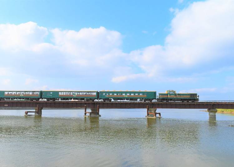 與濕原呼應的草綠色車體(照片拍攝:吉田匡和)