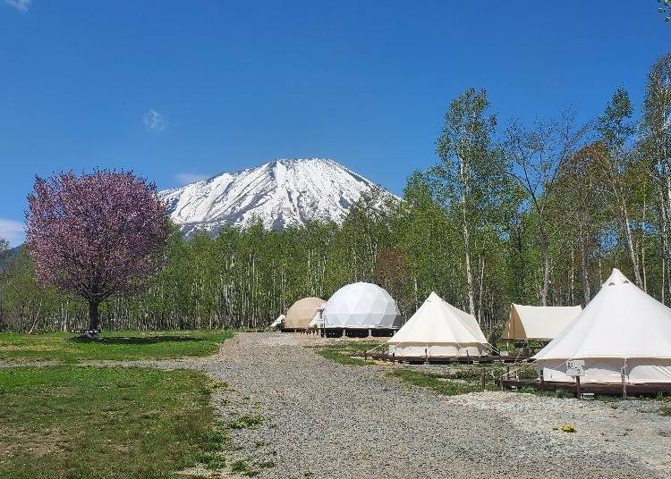 The camp is right by Mt. Yotei, often called Ezo-Fuji for its Mt. Fuji-like appearance. (Photo courtesy of Takibi Camp)