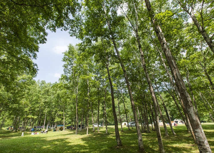 You'll find the jubako tucked away in the vast campsite (Photo courtesy of AKAIGAWA TOMO PLAYPARK )