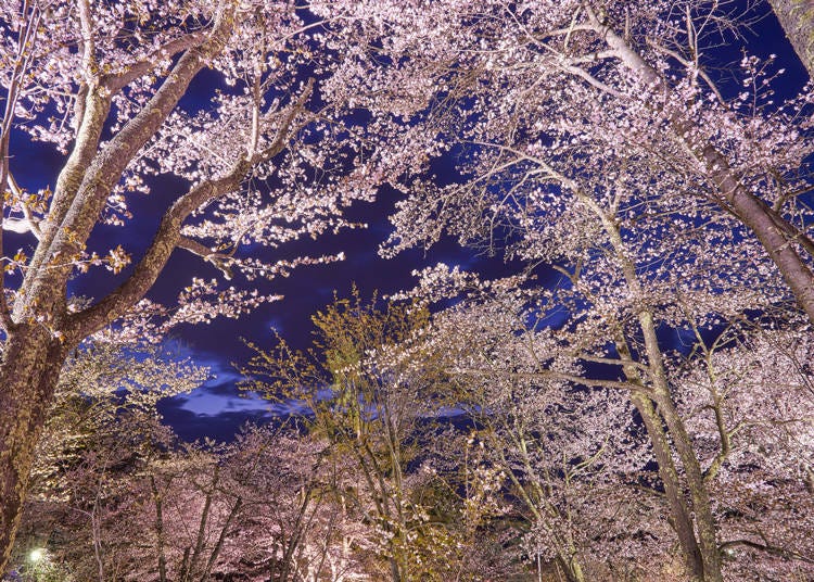 (Photo: PIXTA)