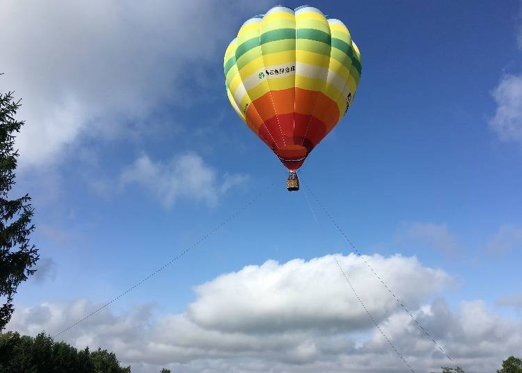 8　十勝平野を上空30mから見渡す「早朝熱気球」を体験する