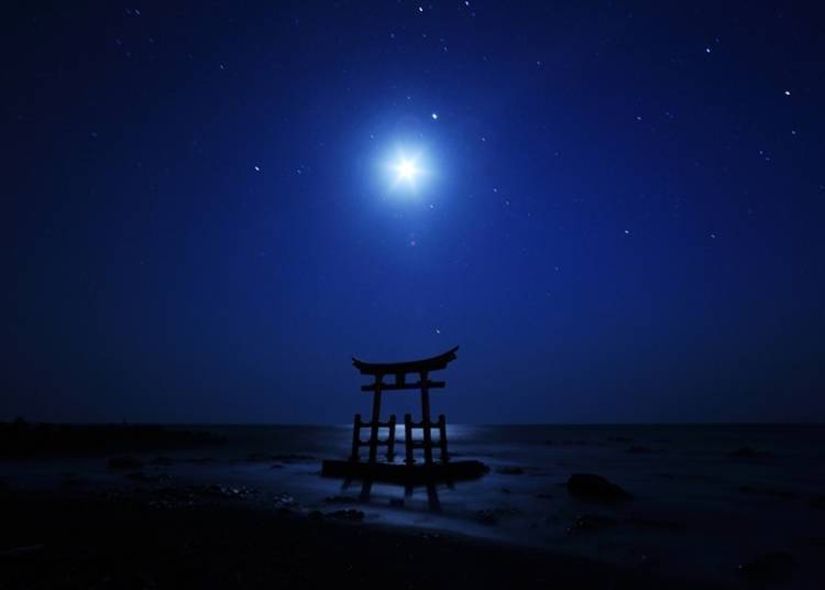 在初山別村能看見非常漂亮的星空，此地也因而名聲大噪（照片提供：初山別村役場）