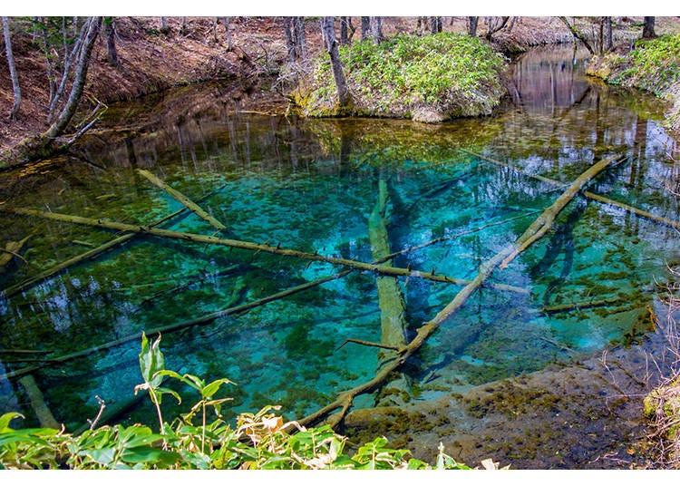6. The mystical, cobalt-blue Kaminoko Pond