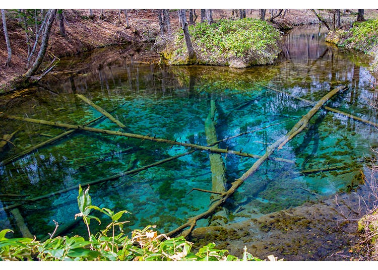 6.コバルトブルーの神秘的な湖「神の子池」