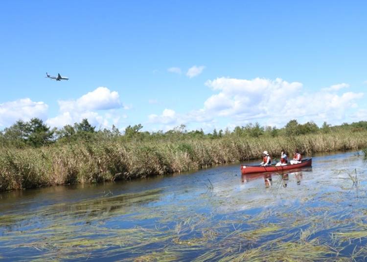 ▲滑走路が近いのでカヌーに乗船しながら飛行機がよく見えますし、着陸する飛行機からも美々川がよく見えます（写真提供：Gateway Tours）