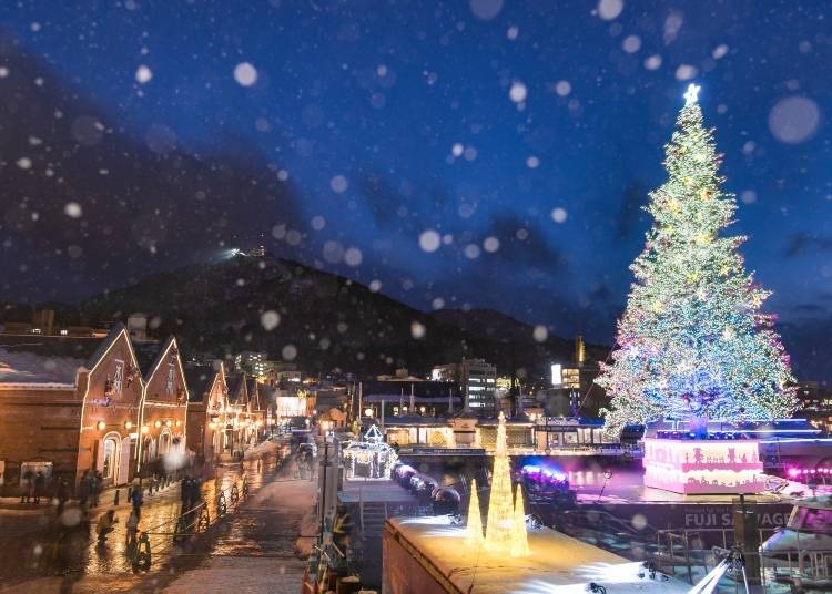 Hakodate Christmas Fantasy (Photo: PIXTA)