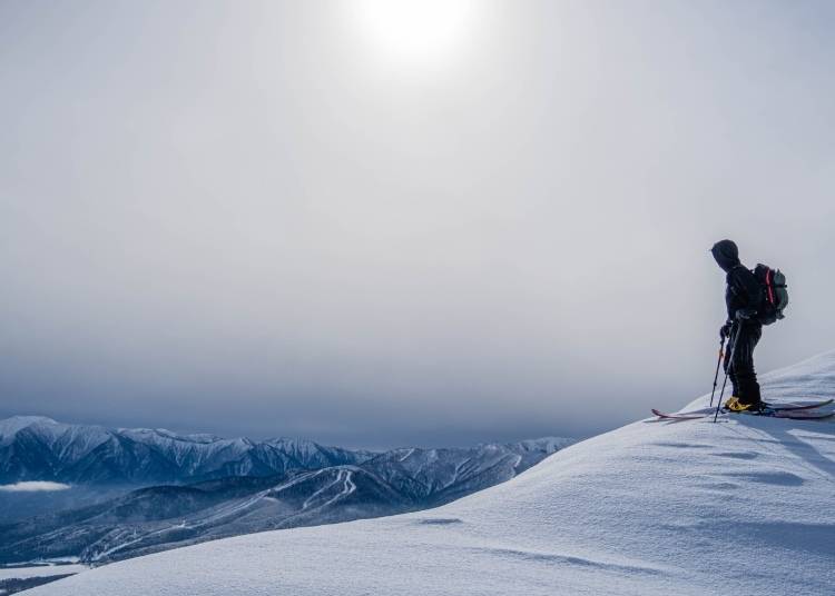 Skiing in Furano (Image: PIXTA)
