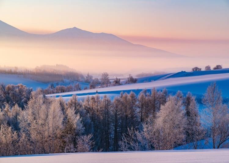 비에이의 겨울 풍경(이미지: PIXTA)