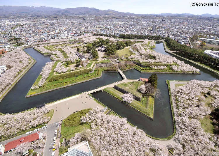 北海道有数の桜の名所