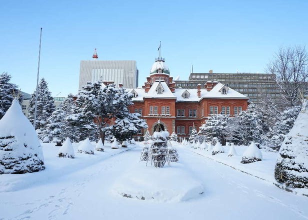 2023년 홋카이도의 겨울 여행 볼거리와 지역별 특징 총정리