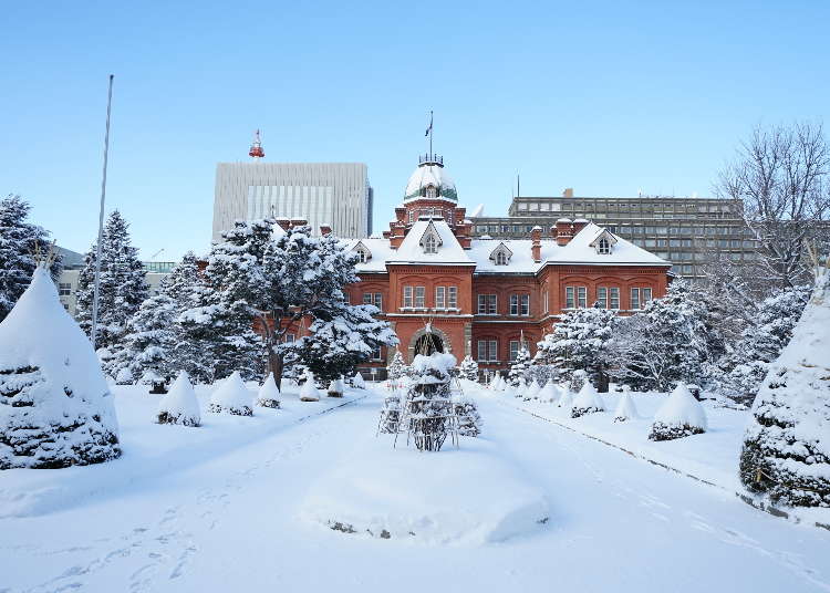 2024北海道雪景地圖懶人包！冬季玩雪、滑雪、雪中美景應有盡有