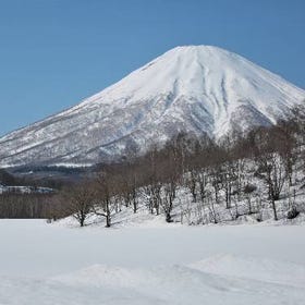 [蓝天雪山絕景必看] 羊蹄山
图片来源：PIXTA