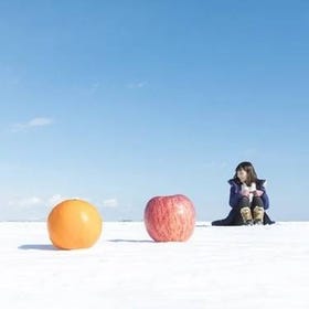 知床半岛冰海漫步：踏上鄂霍次克海的冰雪奇缘