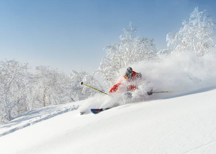 ▲粉雪滑雪超棒！（照片提供：Hilton Niseko Village）