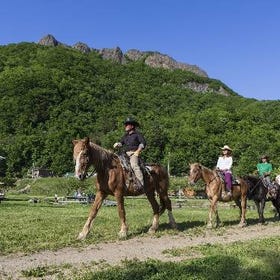 Sapporo Horseback riding experience
Photo: Klook