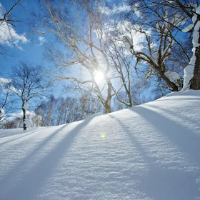 Sapporo Kokusai Ski Resort Equipment Rental
Photo: Klook