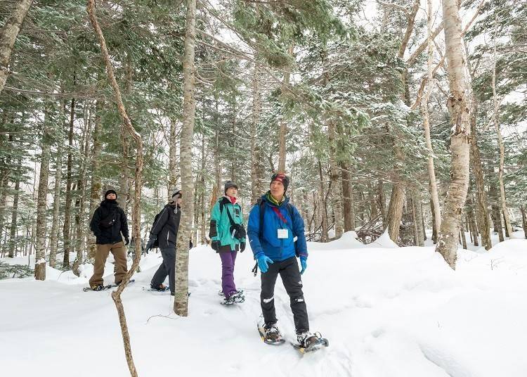 2. Explore Winter's Hidden Beauty: Shiretoko Five Lakes Snow Trek