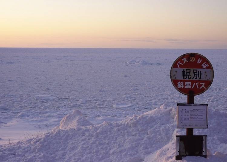 知床當地最接近流冰的公車站牌｜照片由LAN《It’s Hokkaido 北海道・道東生活》所提供