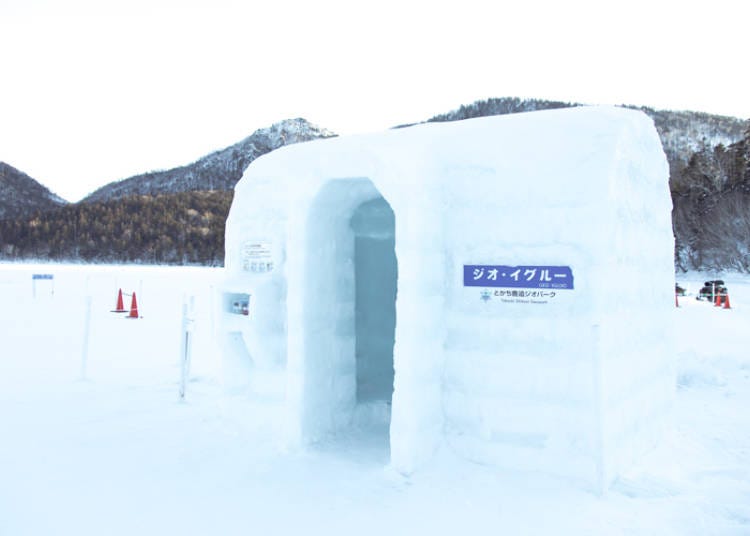 GeoPark Igloo