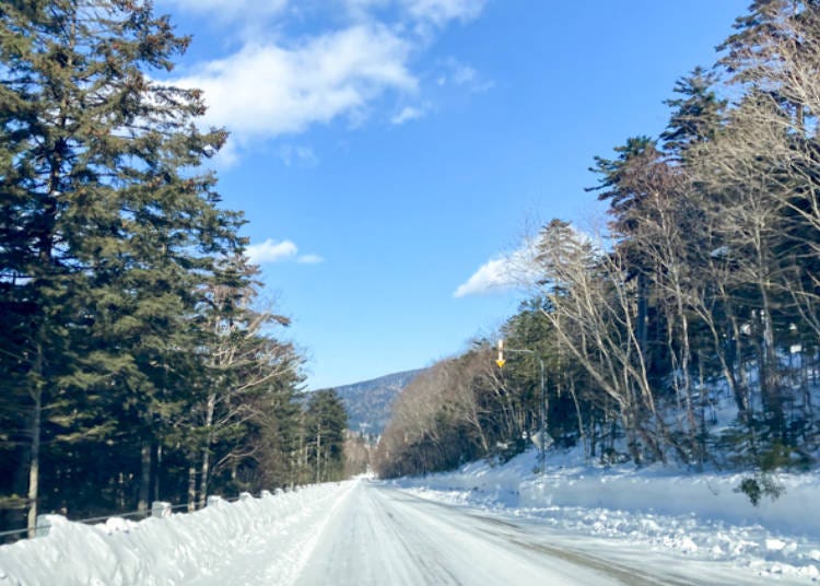 Road leading up to Lake Shikaribetsu