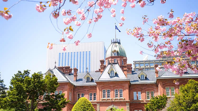 Sapporo Cherry Blossom Guide: Best Time & Top Spots for Sakura Viewing