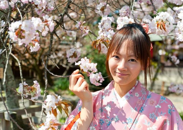 租借和服並在盛開的櫻花樹下拍照紀念照吧　圖像來源：PIXTA