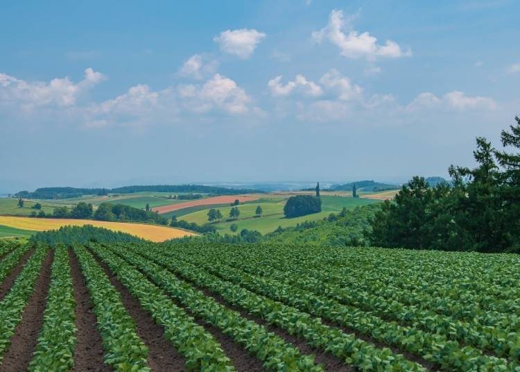 마지막으로: 드론에 관한 참고사항